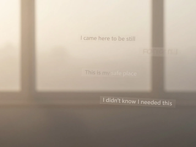 Aladinharem Update: What’s New in the Community This June '25